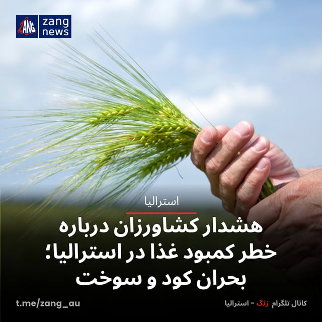 هشدار کشاورزان درباره خطر کمبود غذا در استرالیا؛ بحران کود و سوخت