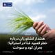 هشدار کشاورزان درباره خطر کمبود غذا در استرالیا؛ بحران کود و سوخت