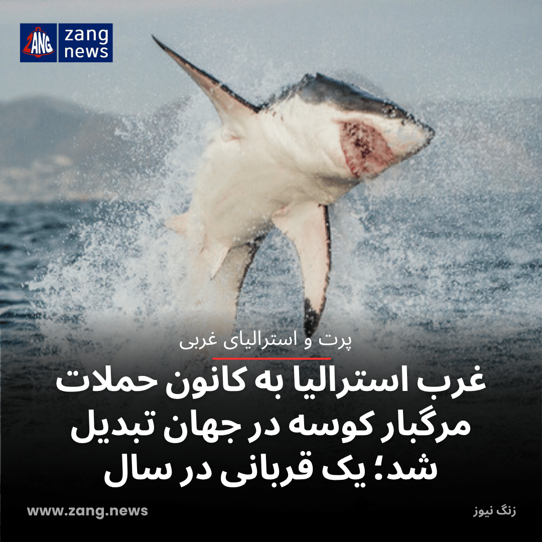 غرب استرالیا به کانون حملات مرگبار کوسه در جهان تبدیل شد؛ یک قربانی در سال