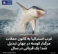 غرب استرالیا به کانون حملات مرگبار کوسه در جهان تبدیل شد؛ یک قربانی در سال