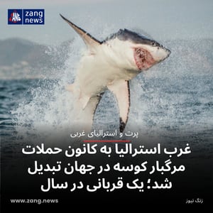 غرب استرالیا به کانون حملات مرگبار کوسه در جهان تبدیل شد؛ یک قربانی در سال
