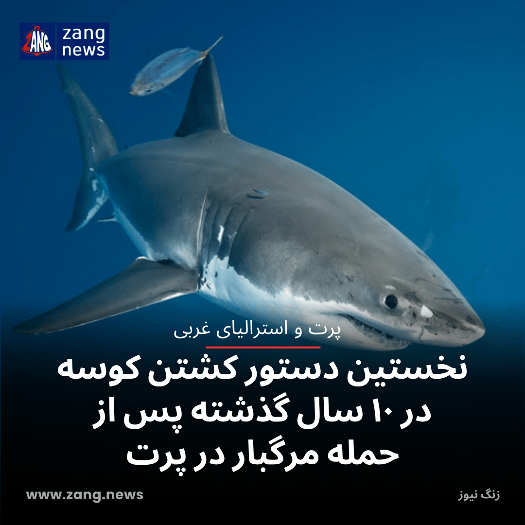 نخستین دستور کشتن کوسه در ۱۰ سال گذشته پس از حمله مرگبار در پرت