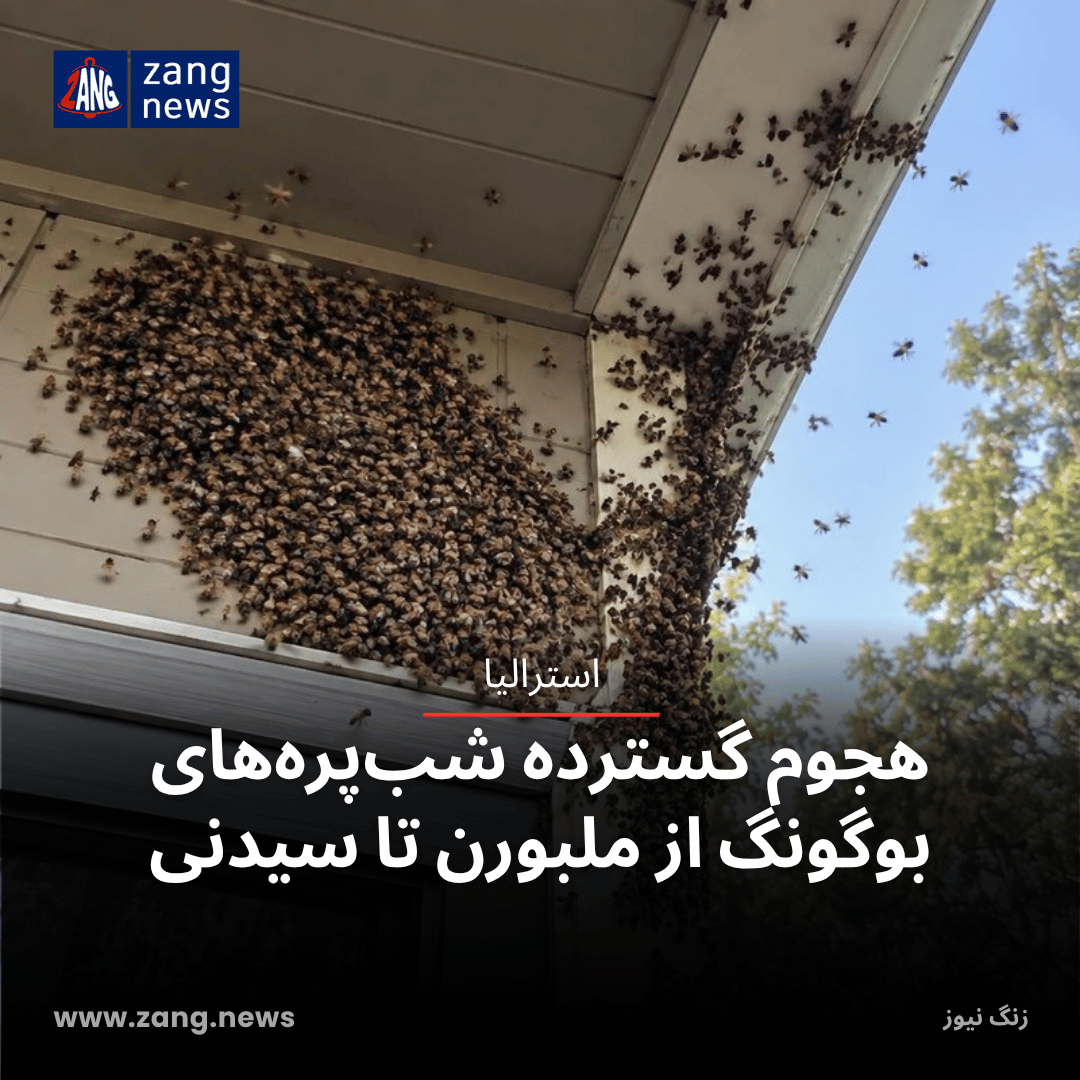 هجوم گسترده شب‌پره‌های بوگونگ از ملبورن تا سیدنی
