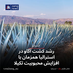 رشد کشت آگاو در استرالیا همزمان با افزایش محبوبیت تکیلا