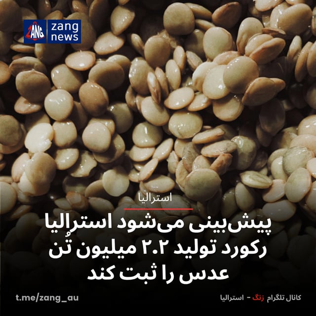 پیش‌بینی می‌شود استرالیا رکورد تولید ۲.۲ میلیون تُن عدس را ثبت کند