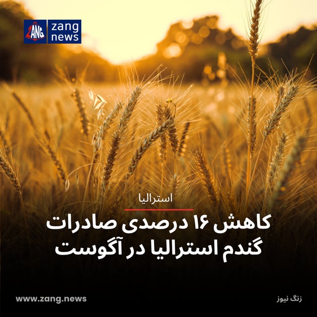 کاهش ۱۶ درصدی صادرات گندم استرالیا در آگوست