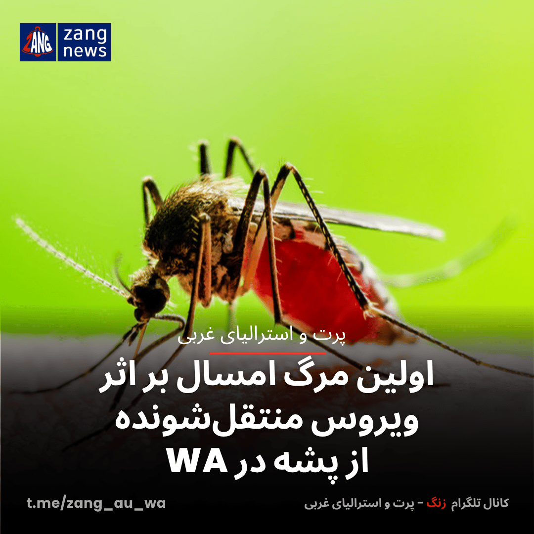 اولین مرگ امسال بر اثر ویروس منتقل‌شونده از پشه در WA
