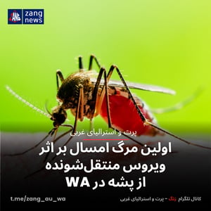 اولین مرگ امسال بر اثر ویروس منتقل‌شونده از پشه در WA