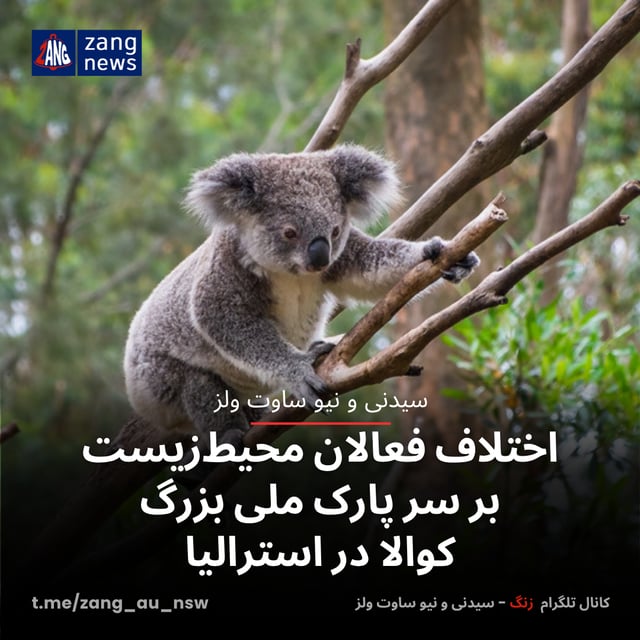 اختلاف فعالان محیط‌زیست بر سر پارک ملی بزرگ کوالا در استرالیا