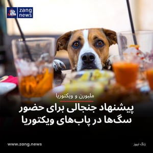 پیشنهاد جنجالی برای حضور سگ‌ها در پاب‌های ویکتوریا