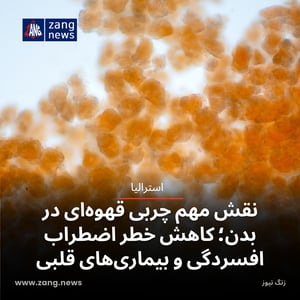 نقش مهم چربی قهوه‌ای در بدن؛ کاهش خطر اضطراب، افسردگی و بیماری‌های قلبی