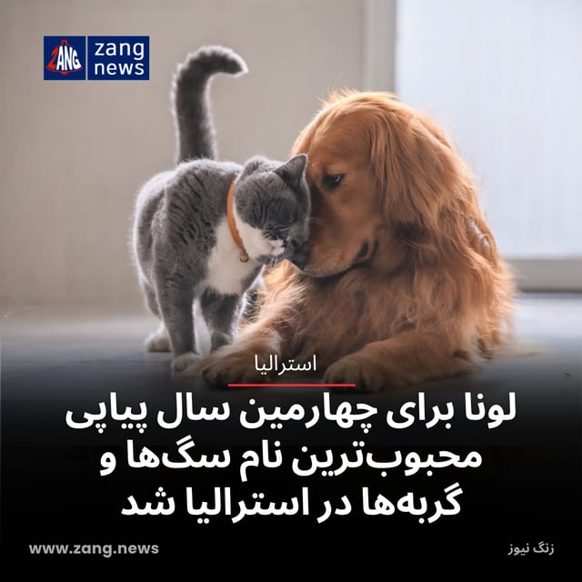 لونا برای چهارمین سال پیاپی محبوب‌ترین نام سگ‌ها و گربه‌ها در استرالیا شد
