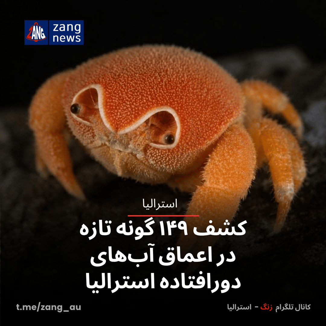 کشف ۱۴۹ گونه تازه در اعماق آب‌های دورافتاده استرالیا