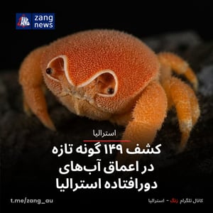 کشف ۱۴۹ گونه تازه در اعماق آب‌های دورافتاده استرالیا
