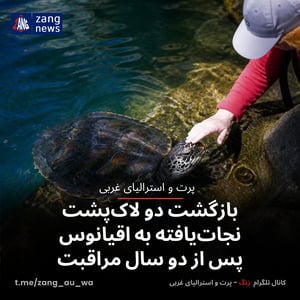 بازگشت دو لاک‌پشت نجات‌یافته به اقیانوس پس از دو سال مراقبت