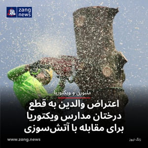 اعتراض والدین به قطع درختان مدارس ویکتوریا برای مقابله با آتش‌سوزی