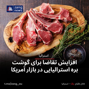 افزایش تقاضا برای گوشت بره استرالیایی در بازار آمریکا