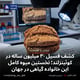 کشف فسیل ۳۰ میلیون ساله در کوئینزلند؛ نخستین میوه کامل این خانواده گیاهی در جهان