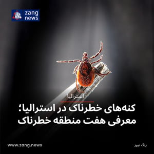کنه‌های خطرناک در استرالیا؛معرفی هفت منطقه خطرناک