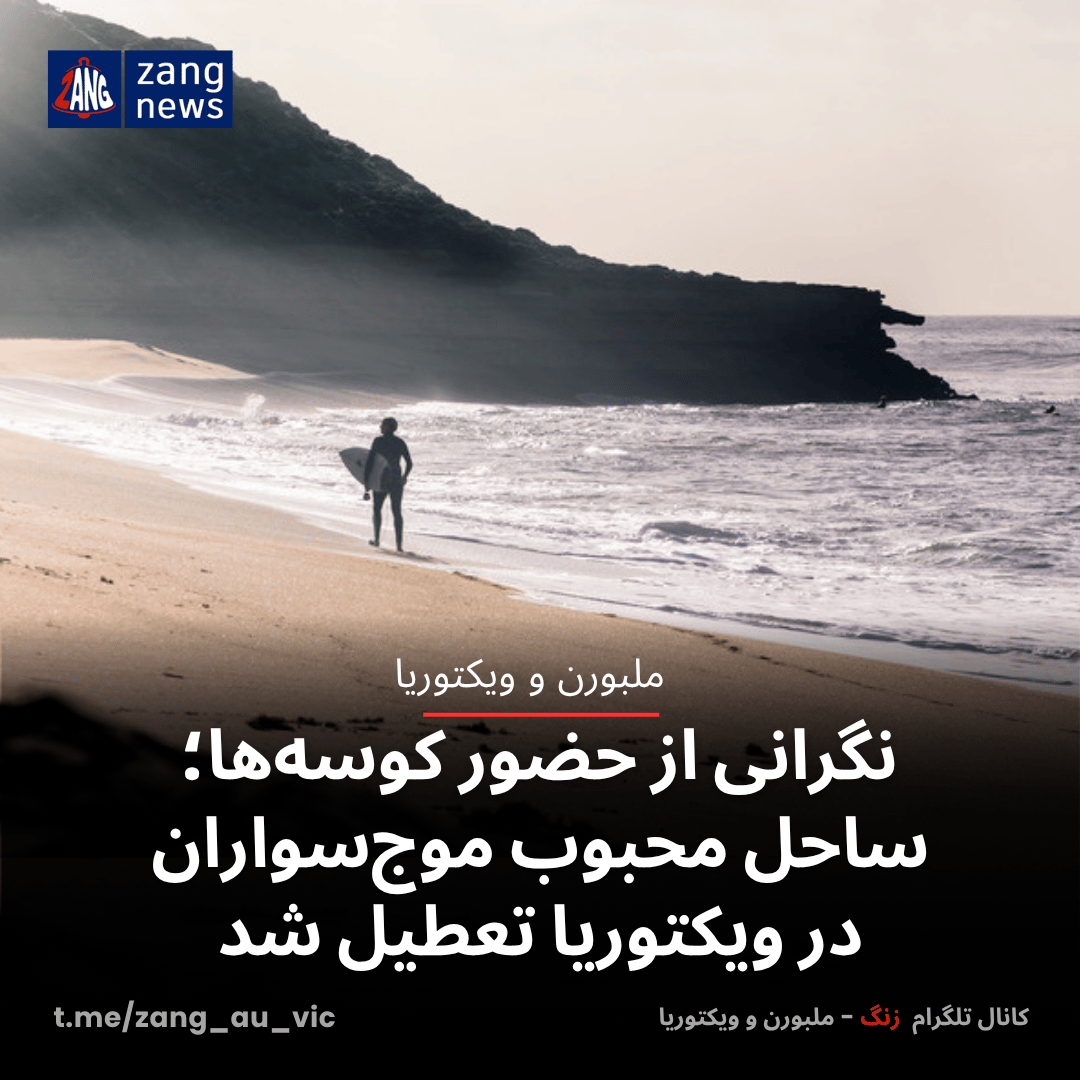 نگرانی از حضور کوسه‌ها؛ ساحل محبوب موج‌سواران در ویکتوریا تعطیل شد