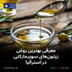 معرفی بهترین روغن زیتون‌های سوپرمارکتی در استرالیا