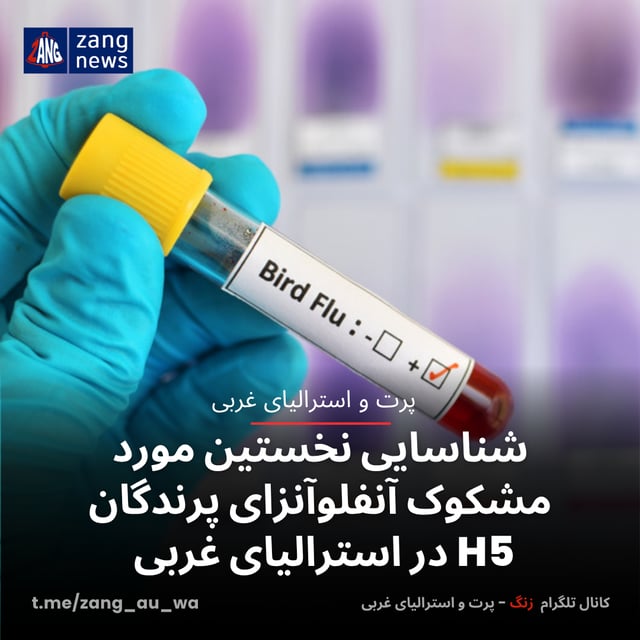 شناسایی نخستین مورد مشکوک آنفلوآنزای پرندگان H5 در استرالیای غربی