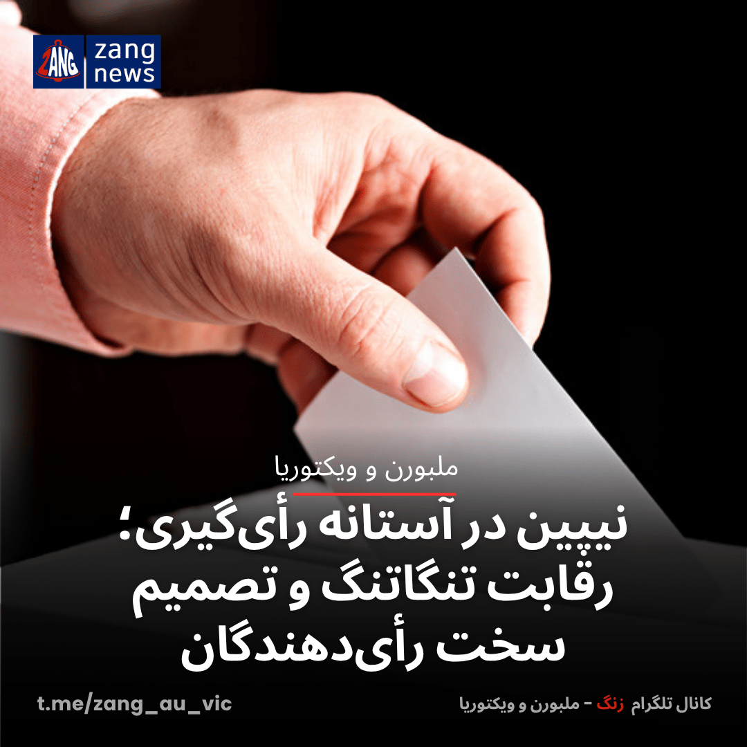 نیپین در آستانه رأی‌گیری؛ رقابت تنگاتنگ و تصمیم سخت رأی‌دهندگان