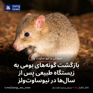 بازگشت گونه‌های بومی به زیستگاه طبیعی پس از سال‌ها در نیوساوت‌ولز