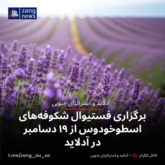 برگزاری فستیوال شکوفه‌های اسطوخودوس از ۱۹ دسامبر در آدلاید