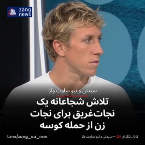 تلاش شجاعانه یک نجات‌غریق برای نجات زن از حمله کوسه