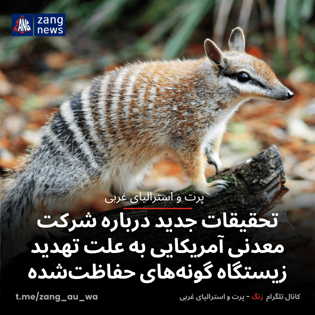 تحقیقات جدید درباره شرکت معدنی آمریکایی به علت تهدید زیستگاه گونه‌های حفاظت‌شده