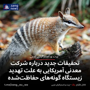 تحقیقات جدید درباره شرکت معدنی آمریکایی به علت تهدید زیستگاه گونه‌های حفاظت‌شده