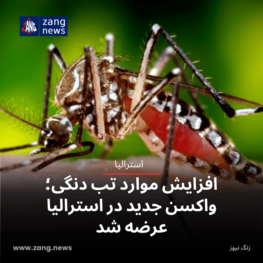 افزایش موارد تب دنگی؛ واکسن جدید در استرالیا عرضه شد
