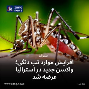 افزایش موارد تب دنگی؛ واکسن جدید در استرالیا عرضه شد