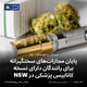 پایان مجازات‌های سختگیرانه برای رانندگان دارای نسخه کانابیس پزشکی در NSW