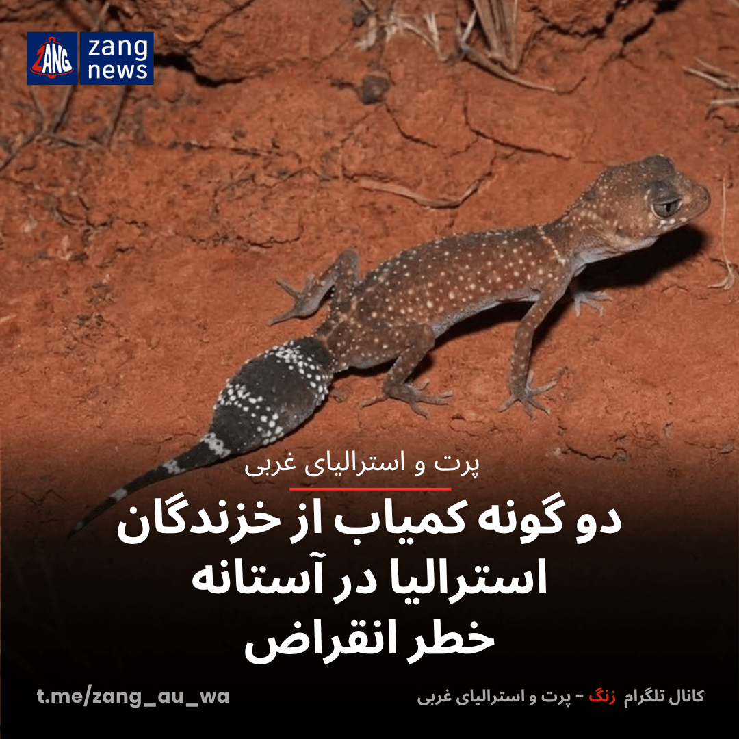 دو گونه کمیاب از خزندگان استرالیا در آستانه خطر انقراض