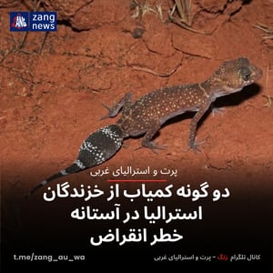 دو گونه کمیاب از خزندگان استرالیا در آستانه خطر انقراض