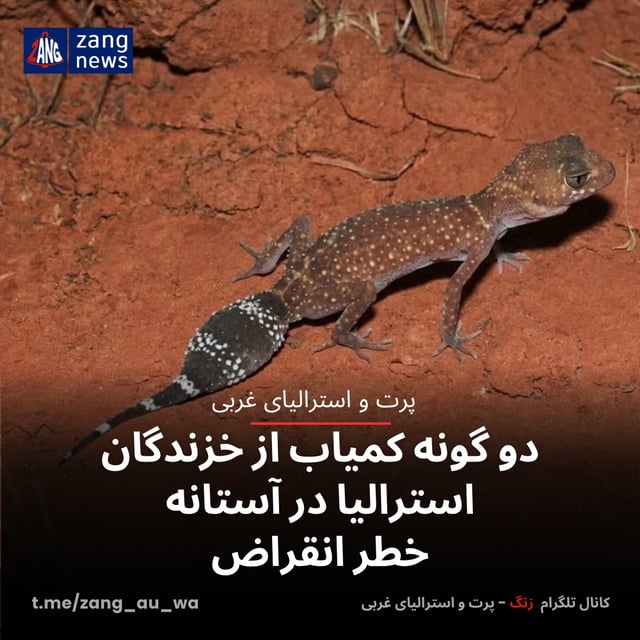 دو گونه کمیاب از خزندگان استرالیا در آستانه خطر انقراض