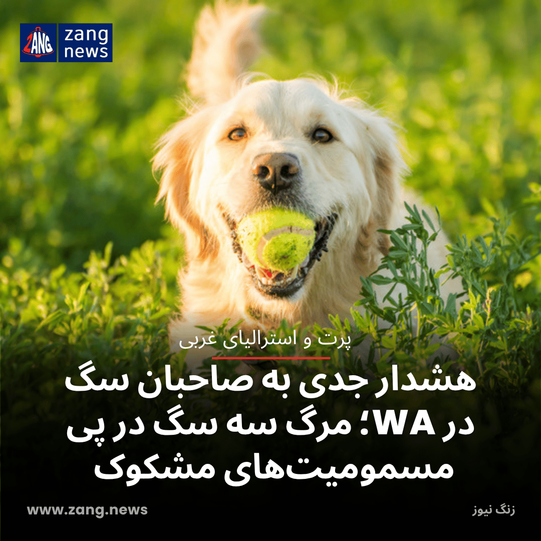 هشدار جدی به صاحبان سگ در WA؛ مرگ سه سگ در پی مسمومیت‌های مشکوک
