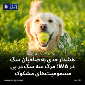 هشدار جدی به صاحبان سگ در WA؛ مرگ سه سگ در پی مسمومیت‌های مشکوک