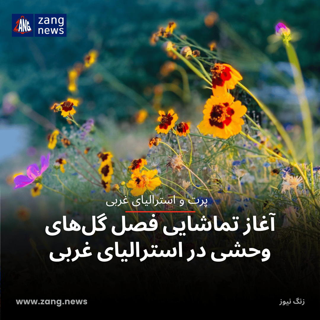 آغاز تماشایی فصل گل‌های وحشی در استرالیای غربی