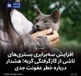 افزایش سه‌برابری بستری‌های ناشی از گازگرفتگی گربه؛ هشدار درباره خطر عفونت جدی