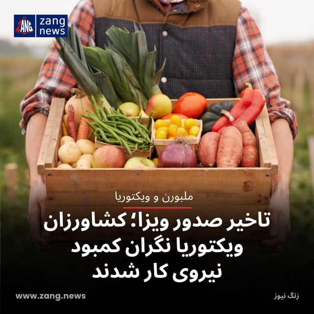 تاخیر صدور ویزا؛ کشاورزان ویکتوریا نگران کمبود نیروی کار شدند