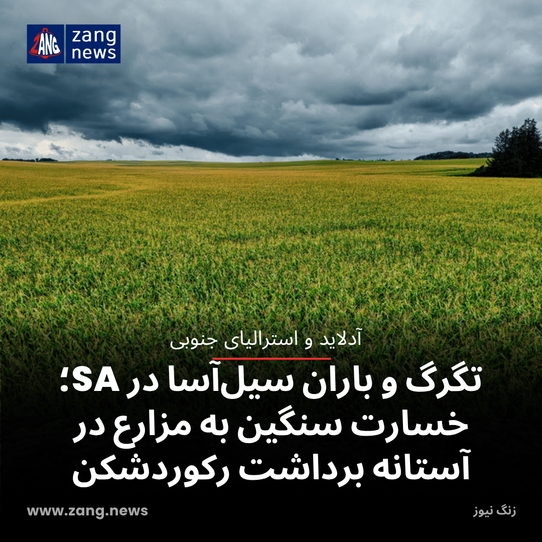 تگرگ و باران سیل‌آسا در SA؛ خسارت سنگین به مزارع در آستانه برداشت رکوردشکن