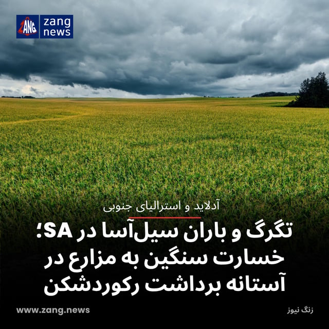 تگرگ و باران سیل‌آسا در SA؛ خسارت سنگین به مزارع در آستانه برداشت رکوردشکن