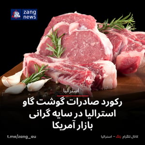 رکورد صادرات گوشت گاو استرالیا در سایه گرانی بازار آمریکا