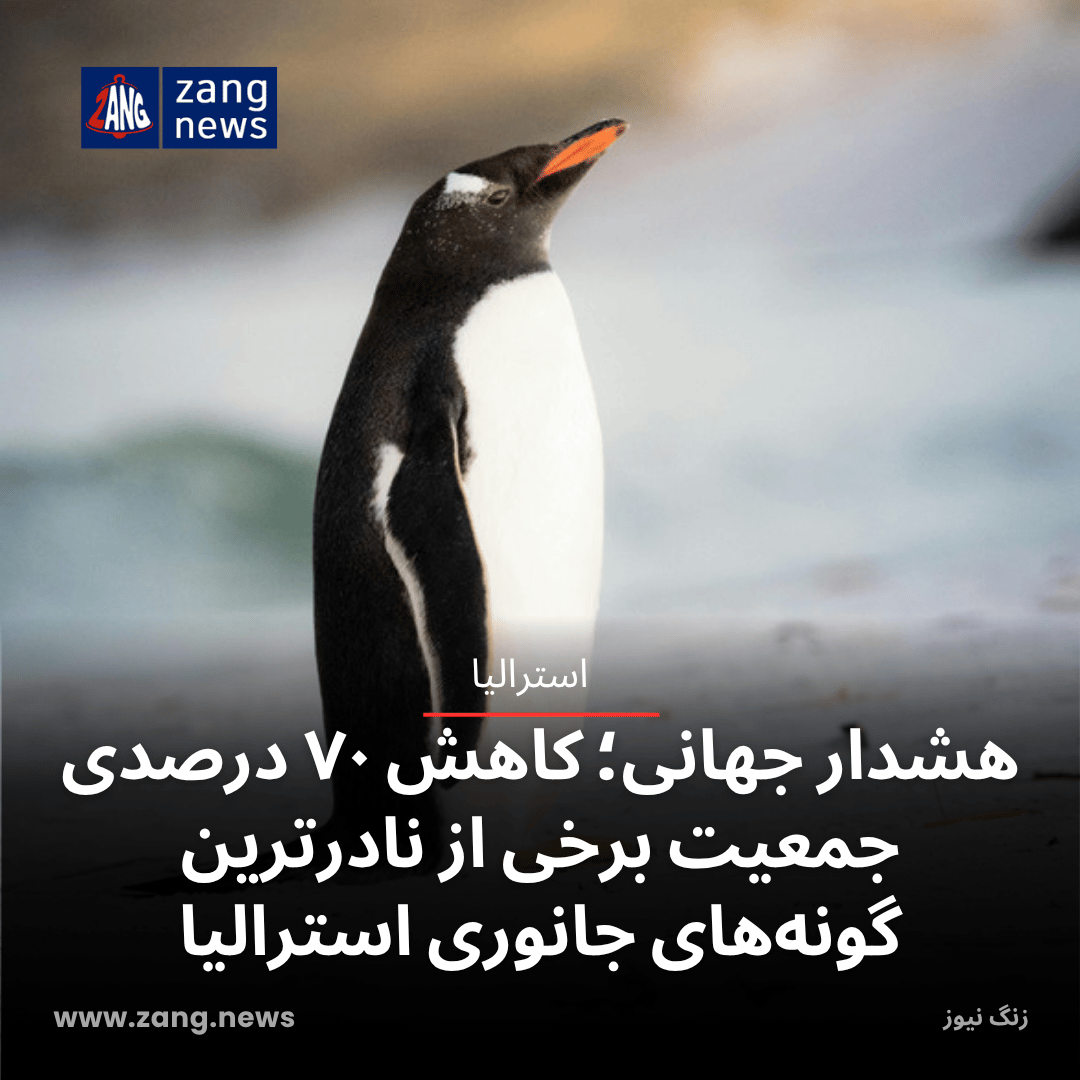هشدار جهانی؛ کاهش ۷۰ درصدی جمعیت برخی از نادرترین گونه‌های جانوری استرالیا