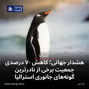 هشدار جهانی؛ کاهش ۷۰ درصدی جمعیت برخی از نادرترین گونه‌های جانوری استرالیا