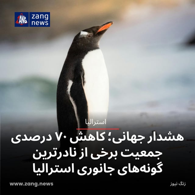 هشدار جهانی؛ کاهش ۷۰ درصدی جمعیت برخی از نادرترین گونه‌های جانوری استرالیا