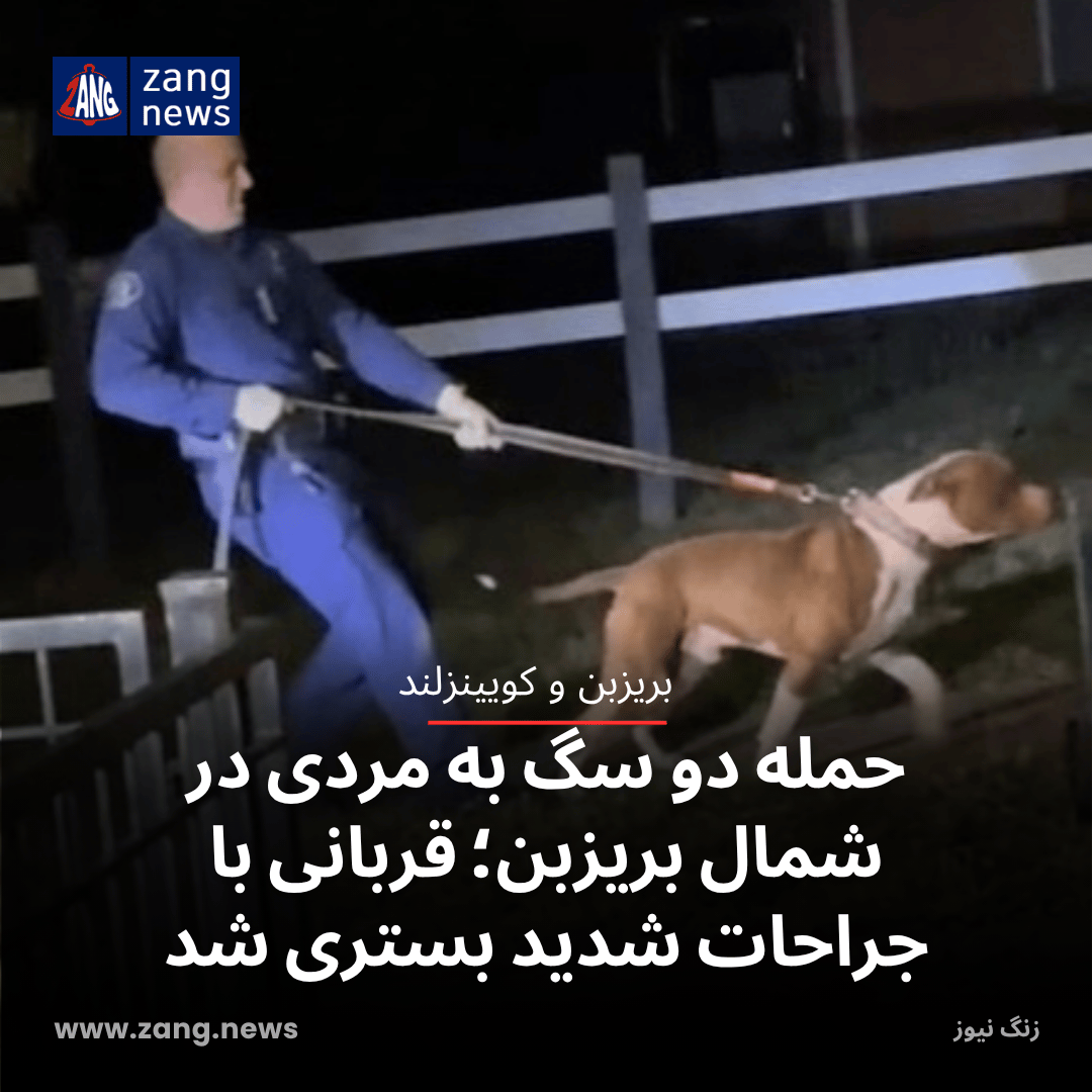 حمله دو سگ به مردی در شمال بریزبن؛ قربانی با جراحات شدید بستری شد